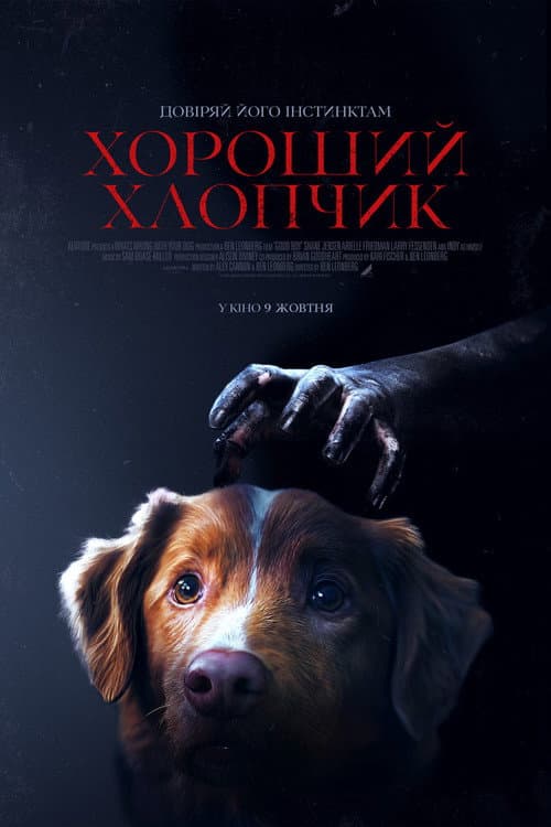 Хороший хлопчик постер